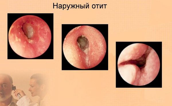 Внешние признаки