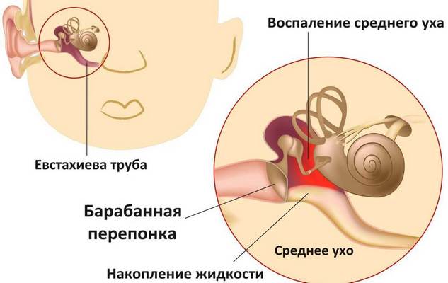 Рисунок