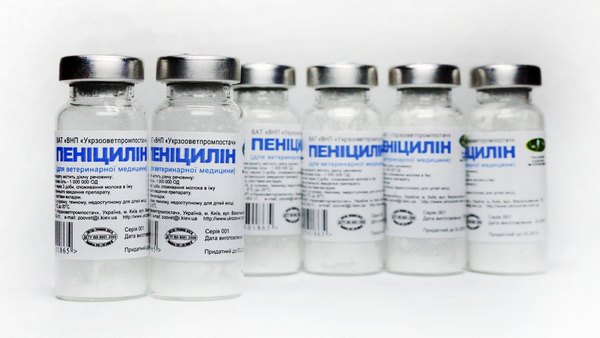 Пенициллин